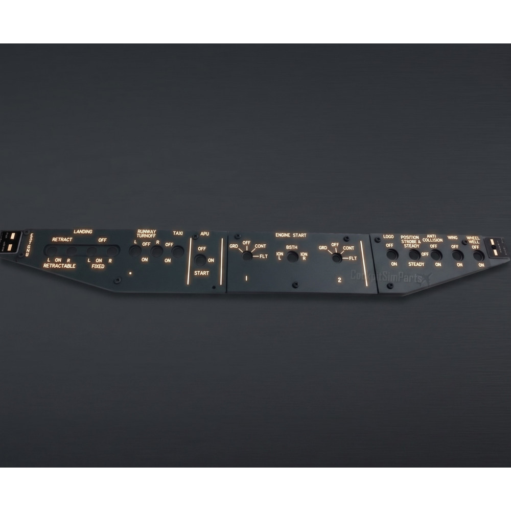 Overhead Lights Panel