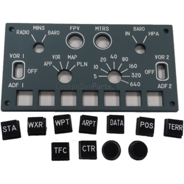 EFIS panel